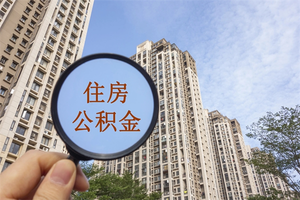 公积金存在账户里的利率-磁县公积金代办平台